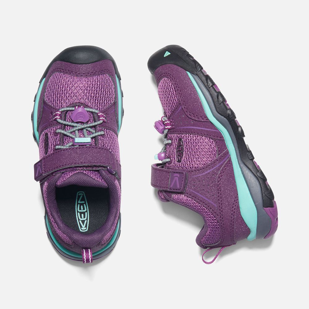 Baskets Keen Enfant Violette | Terradora Ii Sport Vent Shoes | BPLAJ-6502